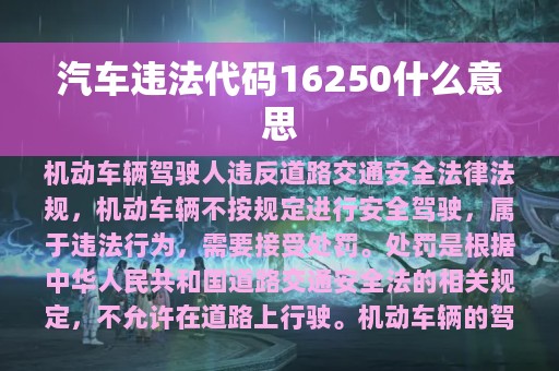 汽车违法代码16250什么意思