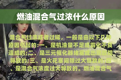 燃油混合气过浓什么原因