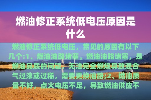 燃油修正系统低电压原因是什么