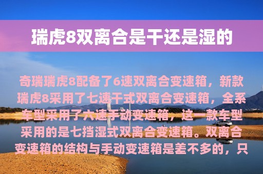 瑞虎8双离合是干还是湿的