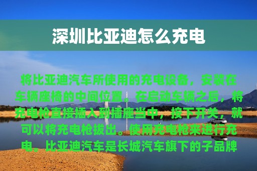 深圳比亚迪怎么充电