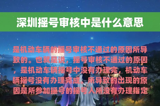 深圳摇号审核中是什么意思