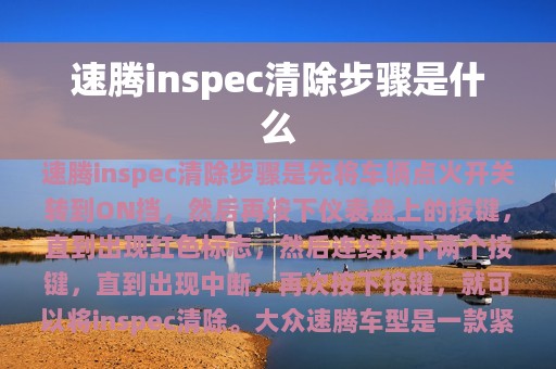 速腾inspec清除步骤是什么