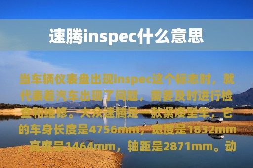 速腾inspec什么意思