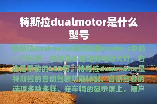 特斯拉dualmotor是什么型号