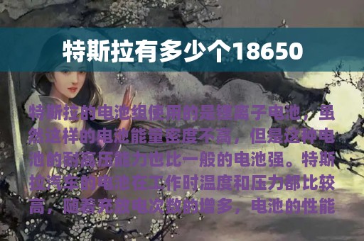 特斯拉有多少个18650