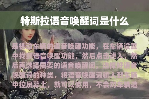 特斯拉语音唤醒词是什么