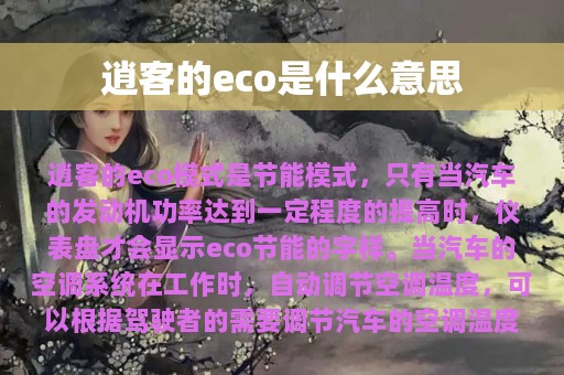 逍客的eco是什么意思