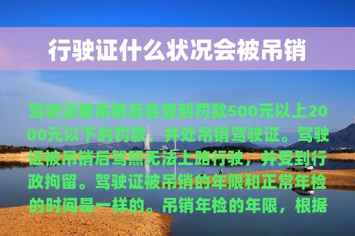 行驶证什么状况会被吊销