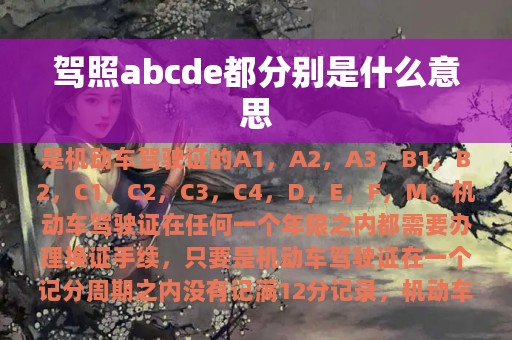 驾照abcde都分别是什么意思