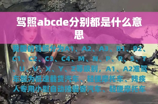 驾照abcde分别都是什么意思