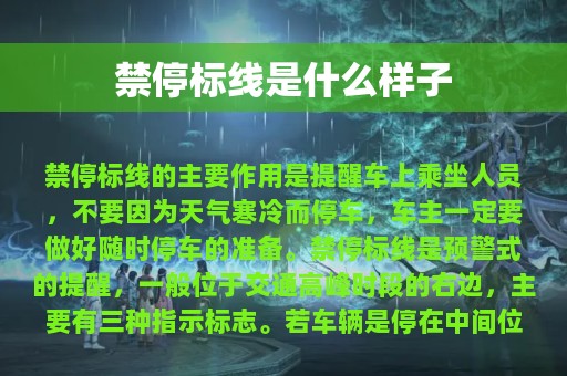 禁停标线是什么样子