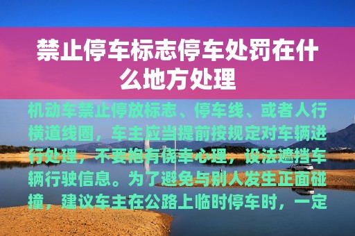 禁止停车标志停车处罚在什么地方处理