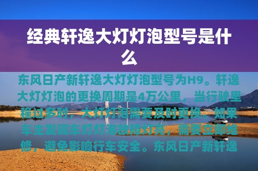 经典轩逸大灯灯泡型号是什么