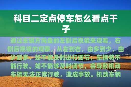 科目二定点停车怎么看点干子