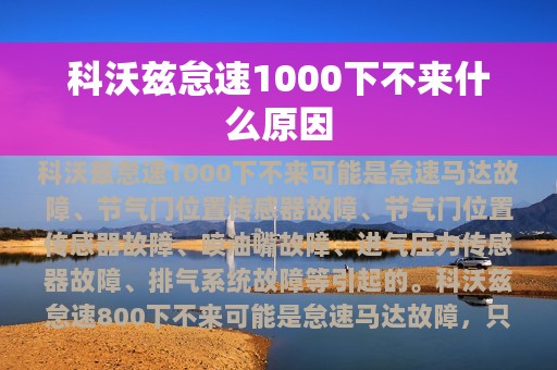 科沃兹怠速1000下不来什么原因