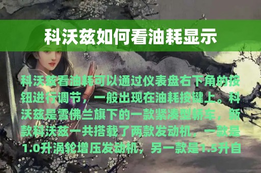 科沃兹如何看油耗显示