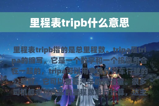 里程表tripb什么意思