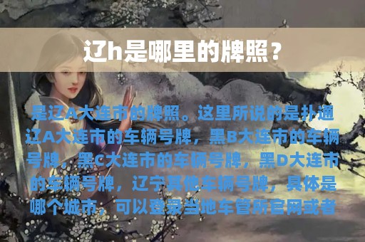 辽h是哪里的牌照？