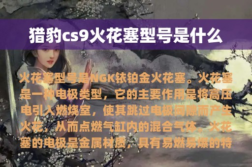 猎豹cs9火花塞型号是什么