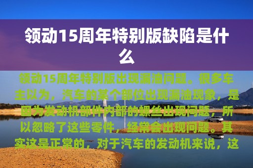 领动15周年特别版缺陷是什么