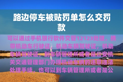 路边停车被贴罚单怎么交罚款