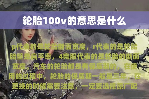 轮胎100v的意思是什么