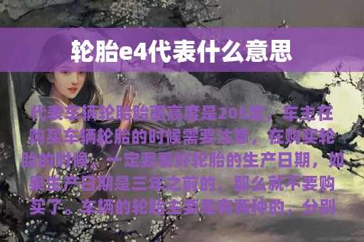 轮胎e4代表什么意思