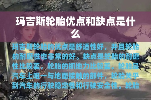 玛吉斯轮胎优点和缺点是什么