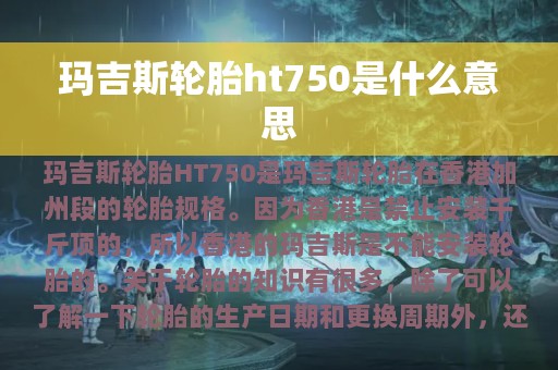 玛吉斯轮胎ht750是什么意思