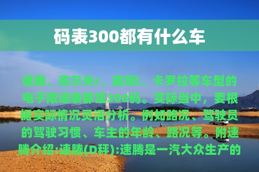 码表300都有什么车