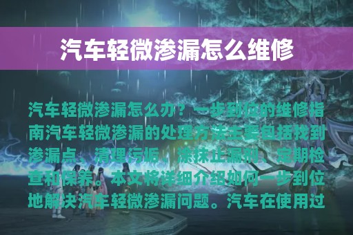 汽车轻微渗漏怎么维修