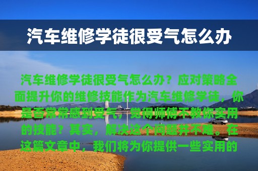 汽车维修学徒很受气怎么办