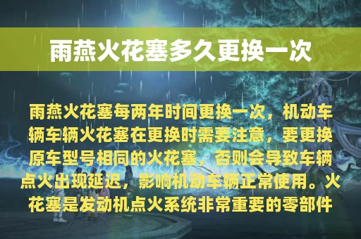 雨燕火花塞多久更换一次