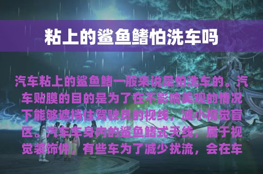 粘上的鲨鱼鳍怕洗车吗