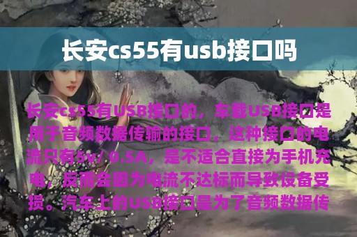 长安cs55有usb接口吗