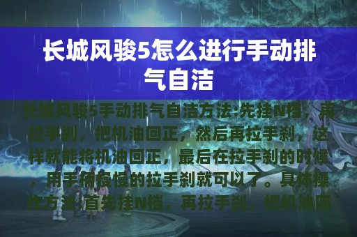 长城风骏5怎么进行手动排气自洁