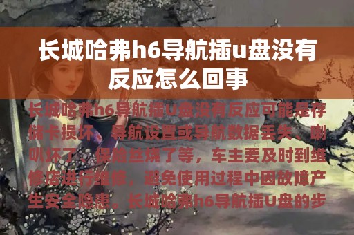 长城哈弗h6导航插u盘没有反应怎么回事