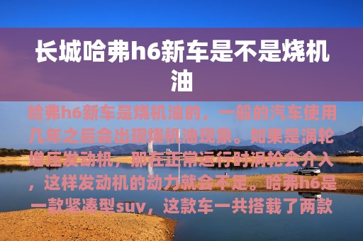 长城哈弗h6新车是不是烧机油