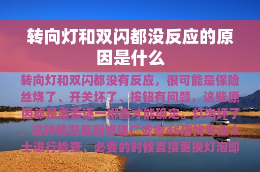 转向灯和双闪都没反应的原因是什么