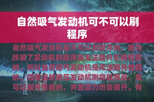 自然吸气发动机可不可以刷程序