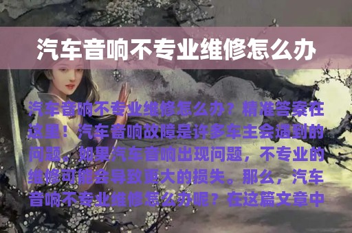 汽车音响不专业维修怎么办