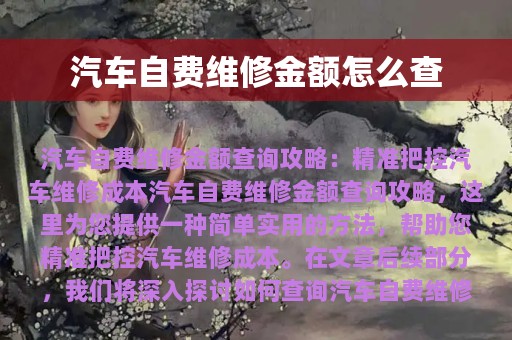 汽车自费维修金额怎么查