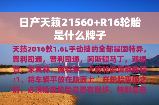 日产天籁21560+R16轮胎是什么牌子