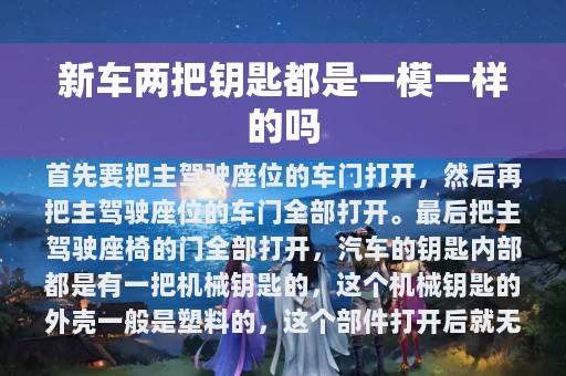 新车两把钥匙都是一模一样的吗