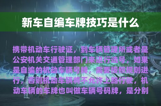 新车自编车牌技巧是什么