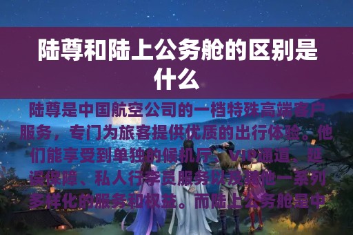 陆尊和陆上公务舱的区别是什么