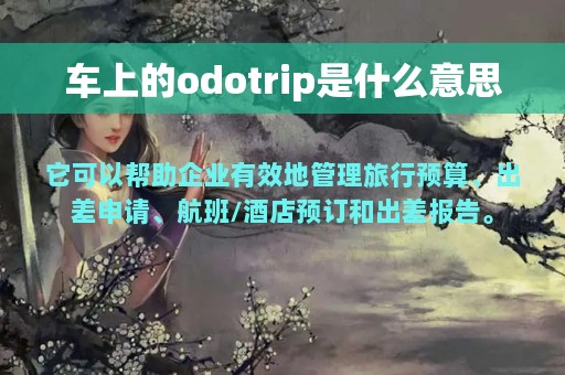 车上的odotrip是什么意思