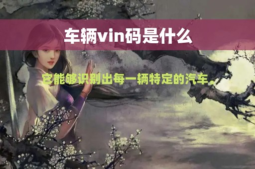 车辆vin码是什么