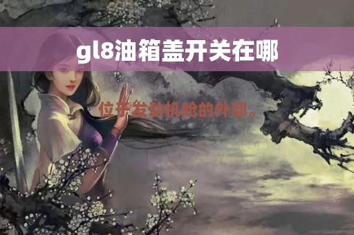 gl8油箱盖开关在哪